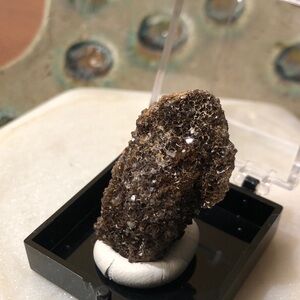 Rare smoky quartz petrified wood